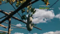 Chill nhẹ nhàng