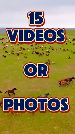 15 Videos Or Photos 