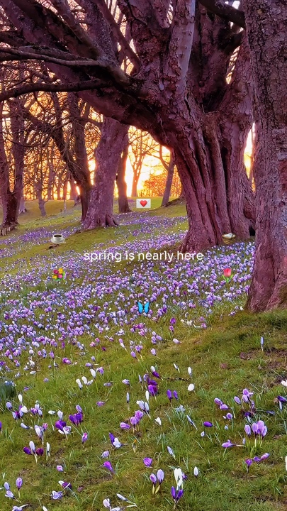Der Frühling ist fast
