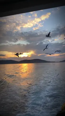 Agır çekim