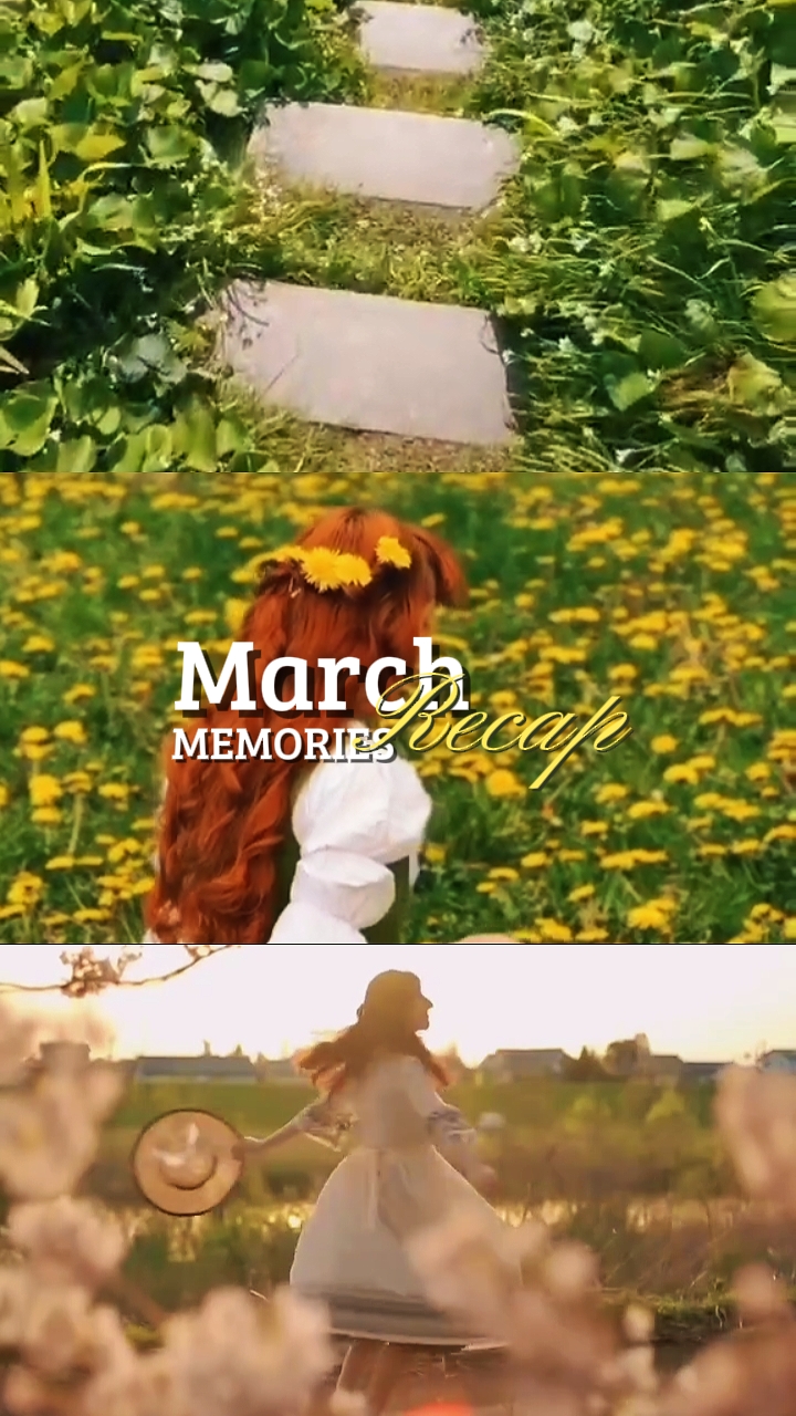 Récapitulatif des souvenirs de mars