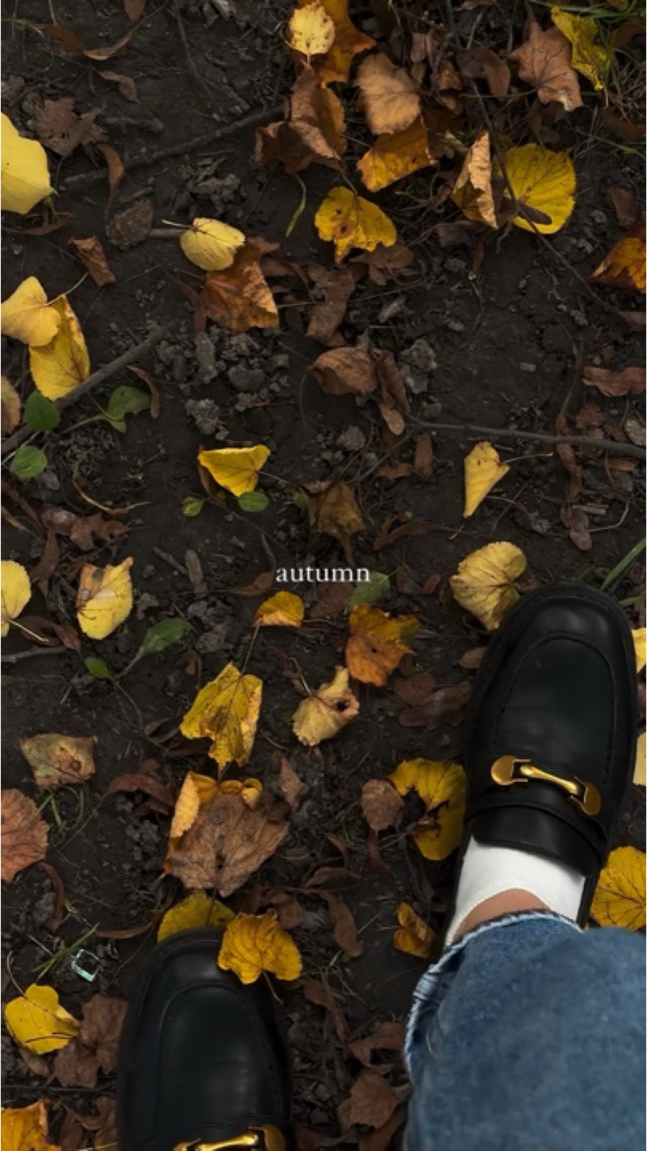 autumn