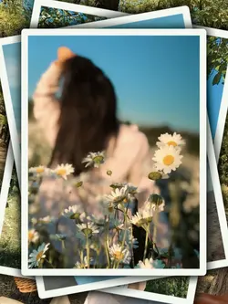4Pic Trend Aesthetic
