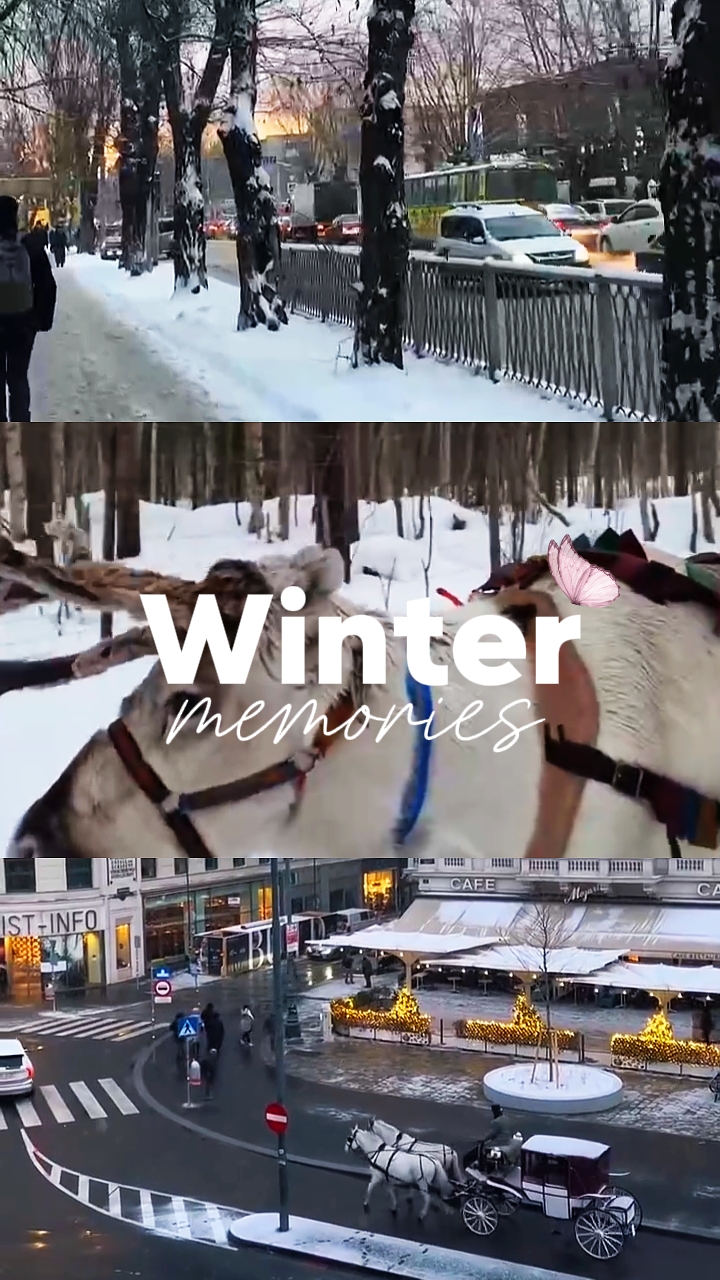 WINTER MEMORIES 