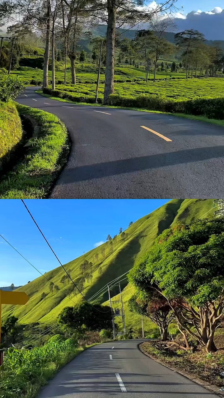 2 collage de videos 