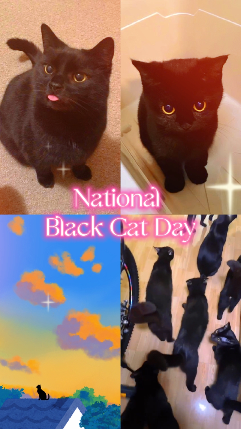 Black Cat Day
