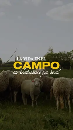 VIDA EN EL CAMPO