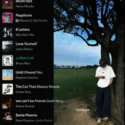 spotify RISK IT ALL