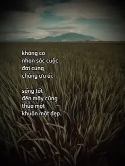 ko có nhan sắc thì s