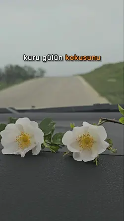 kuru gülün kokusu..