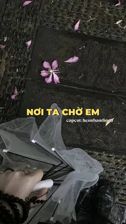 Mẫu 4 ảnh nhẹ nhàng 