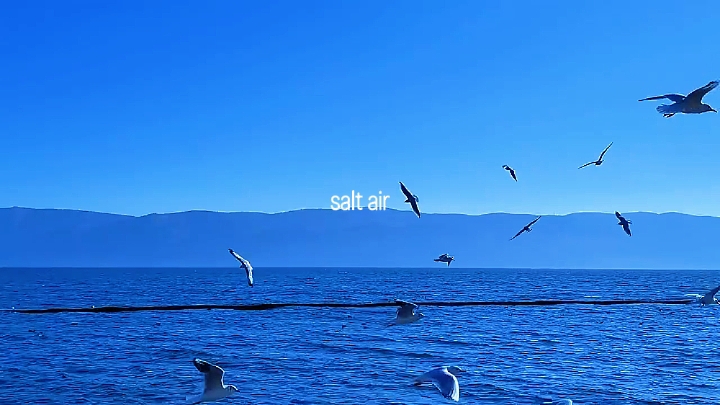 Agustus | Taylor Swif