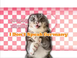 idon't speak Germany