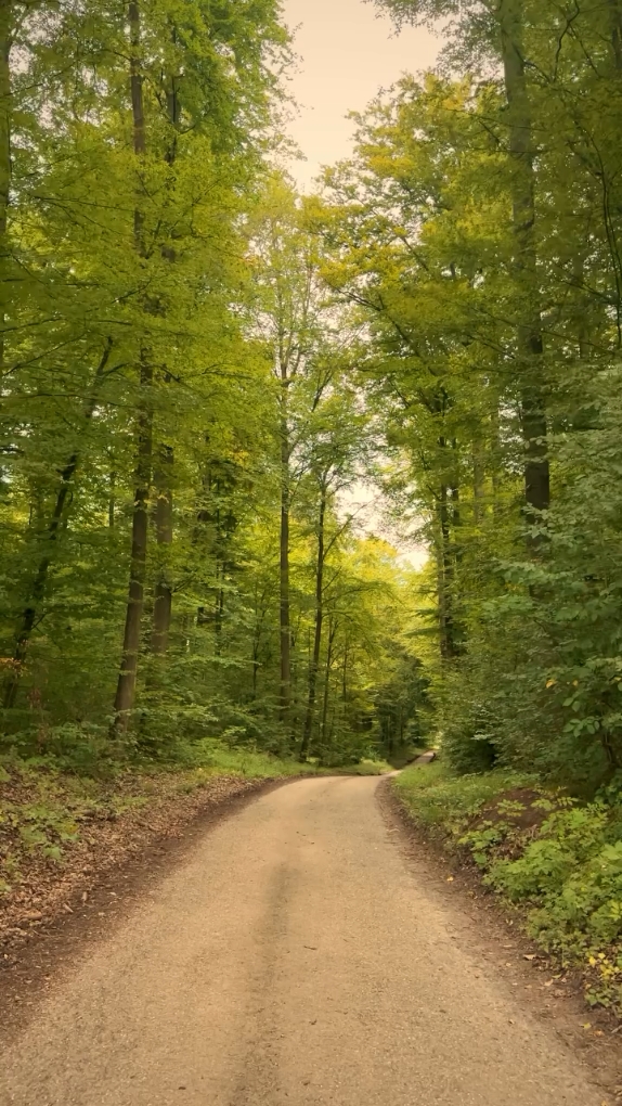 Retour à la nature 