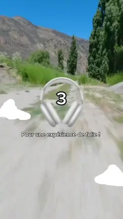 8D