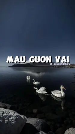 MAU CUON VAI 
