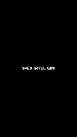 spek Intel gini
