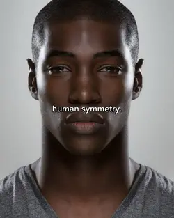 human symmetry trend