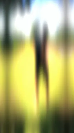 REGGAEFUNK