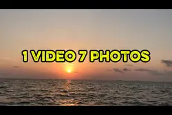 1 video 7 photos