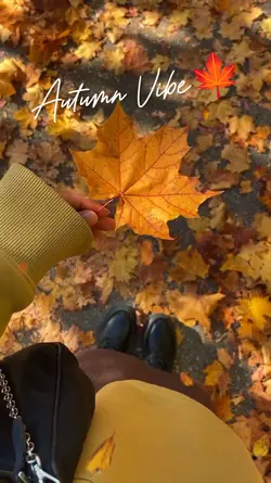 autumn vibe