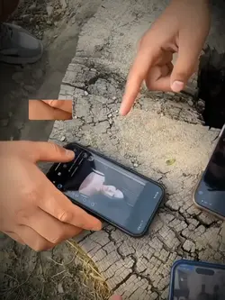 quem perde primeiro 