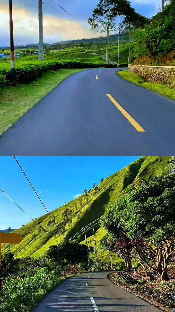 2 collage de videos