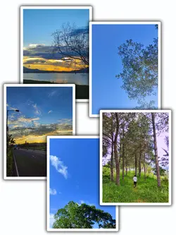 5 Frame + Transition