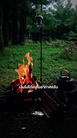 เงินไม่ได้อยู่ในอากา