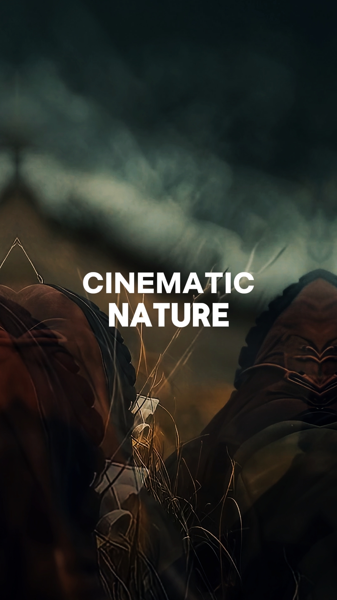 Cinematic nature 
