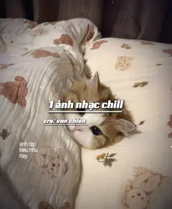 1 ảnh chill