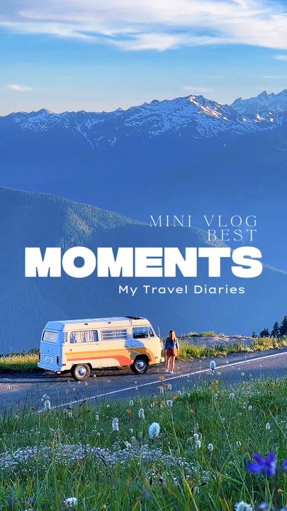 vlog mini