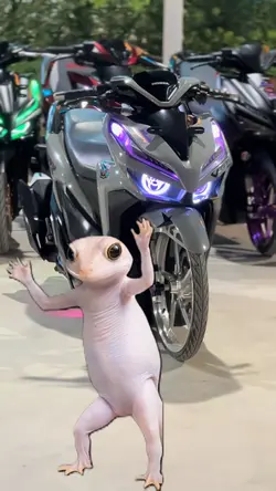 អេមៗយកហ្មង … 💖🎼