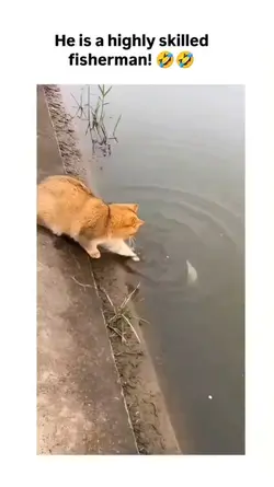 cat fisherman