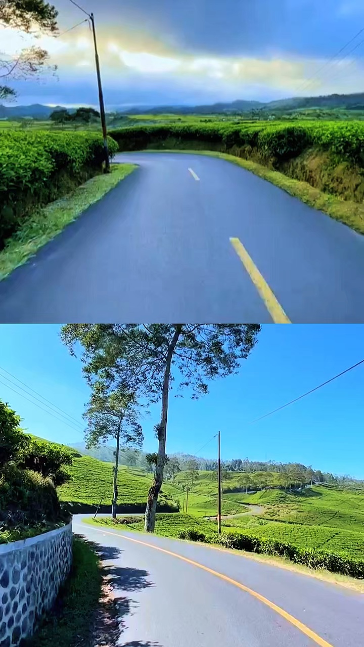 kolase road trip