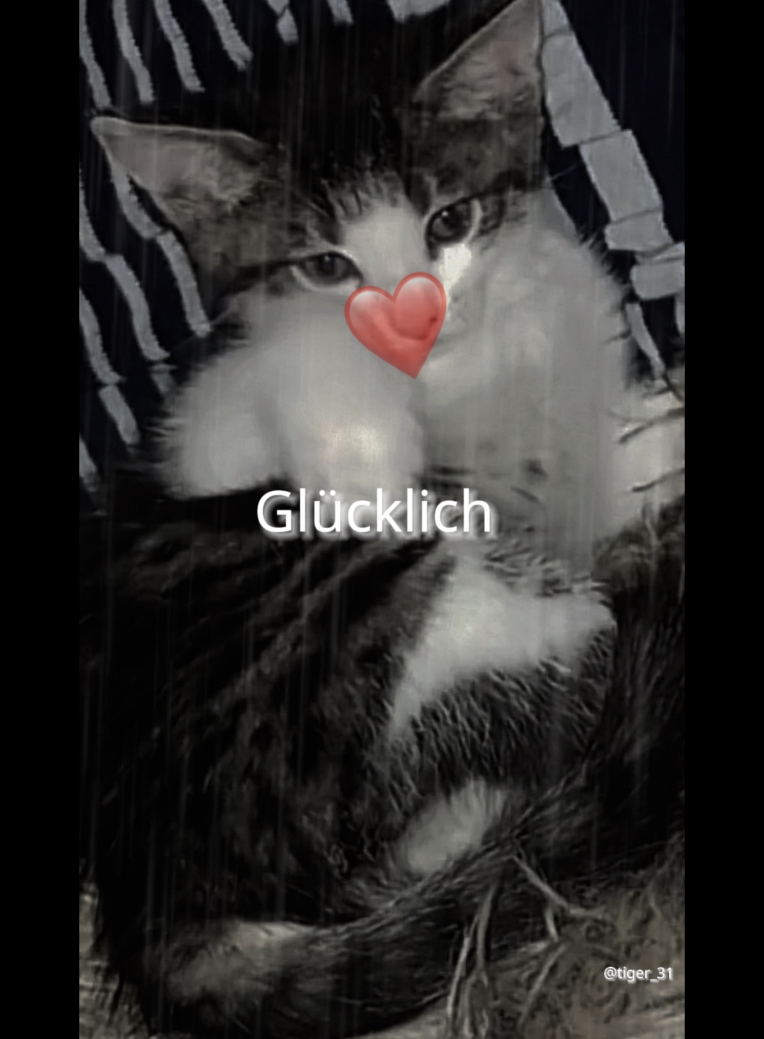 …die Zeit vergeht😢