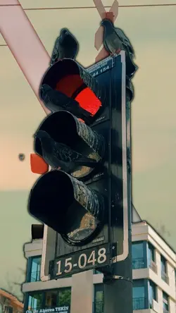 CUTOUT TRANSITION