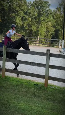 last hack 💗