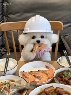 ご飯食べるのにまでヘルメットかよ
