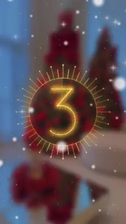 Decor christmas