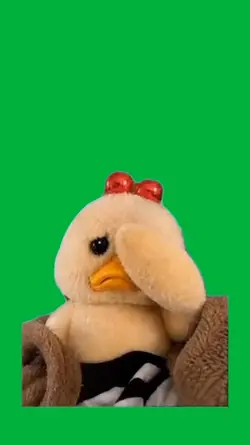 Sad duck