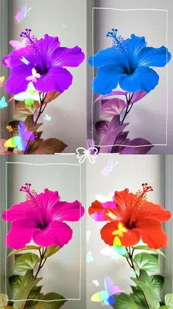 FLOWERS