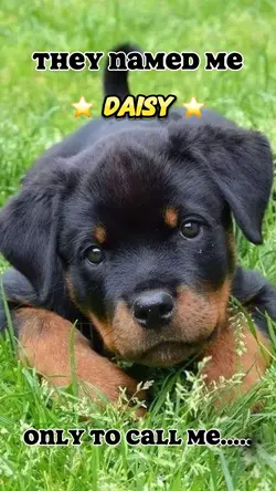 That’s not my name 