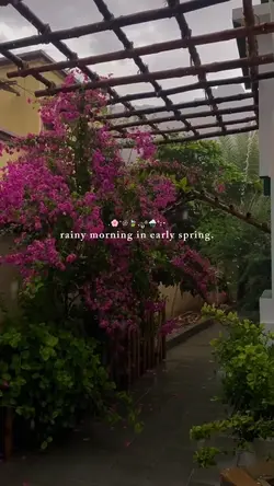 rainy morning