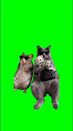 mouse and cat boss