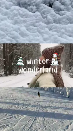 winter wonderland