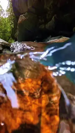 8 video or photo
