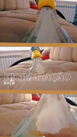 Higienização