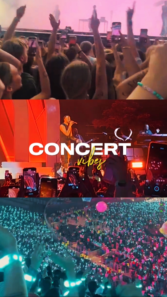 CONCERT VIBES