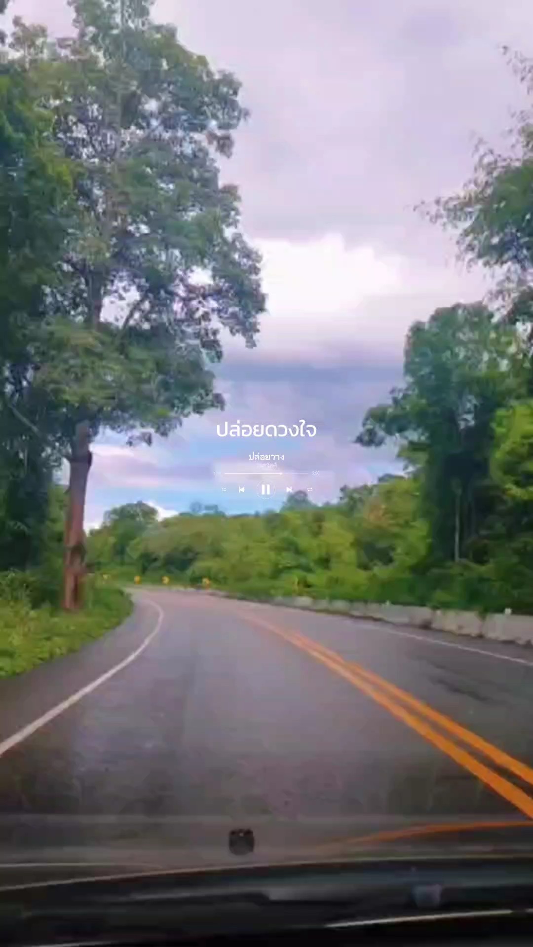 ปล่อยวาง